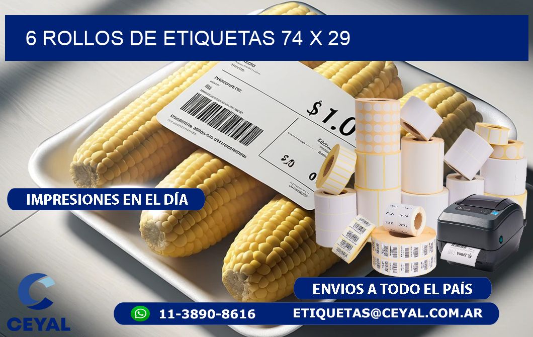 6 ROLLOS DE ETIQUETAS 74 x 29