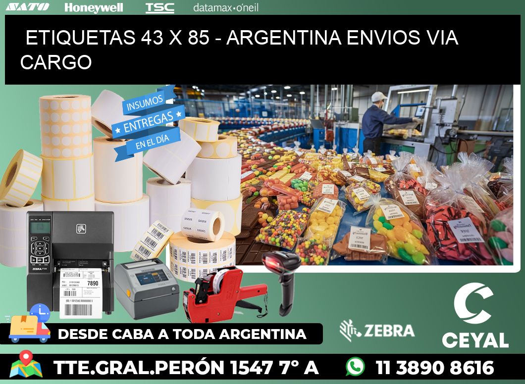 ETIQUETAS 43 x 85 - ARGENTINA ENVIOS VIA CARGO