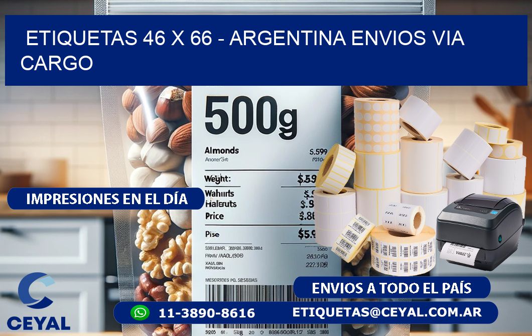 ETIQUETAS 46 x 66 - ARGENTINA ENVIOS VIA CARGO