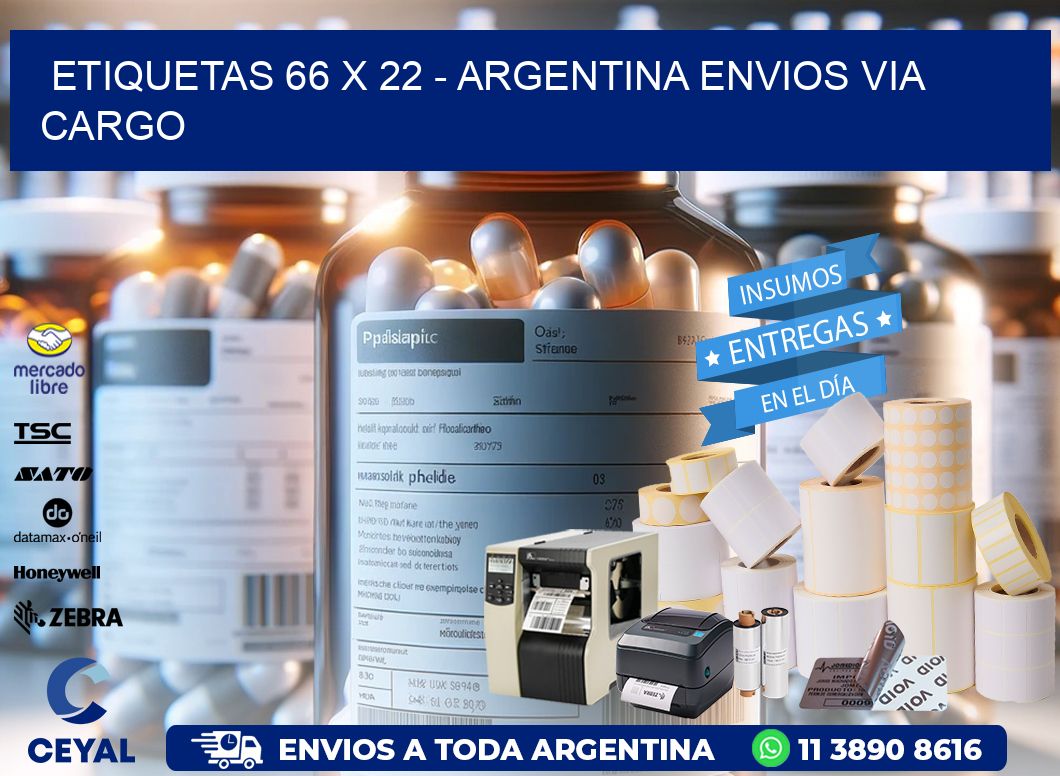 ETIQUETAS 66 x 22 – ARGENTINA ENVIOS VIA CARGO