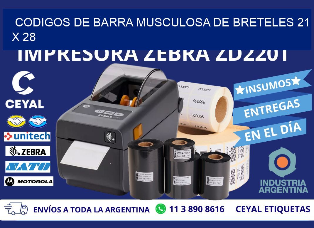 CODIGOS DE BARRA MUSCULOSA DE BRETELES 21 x 28