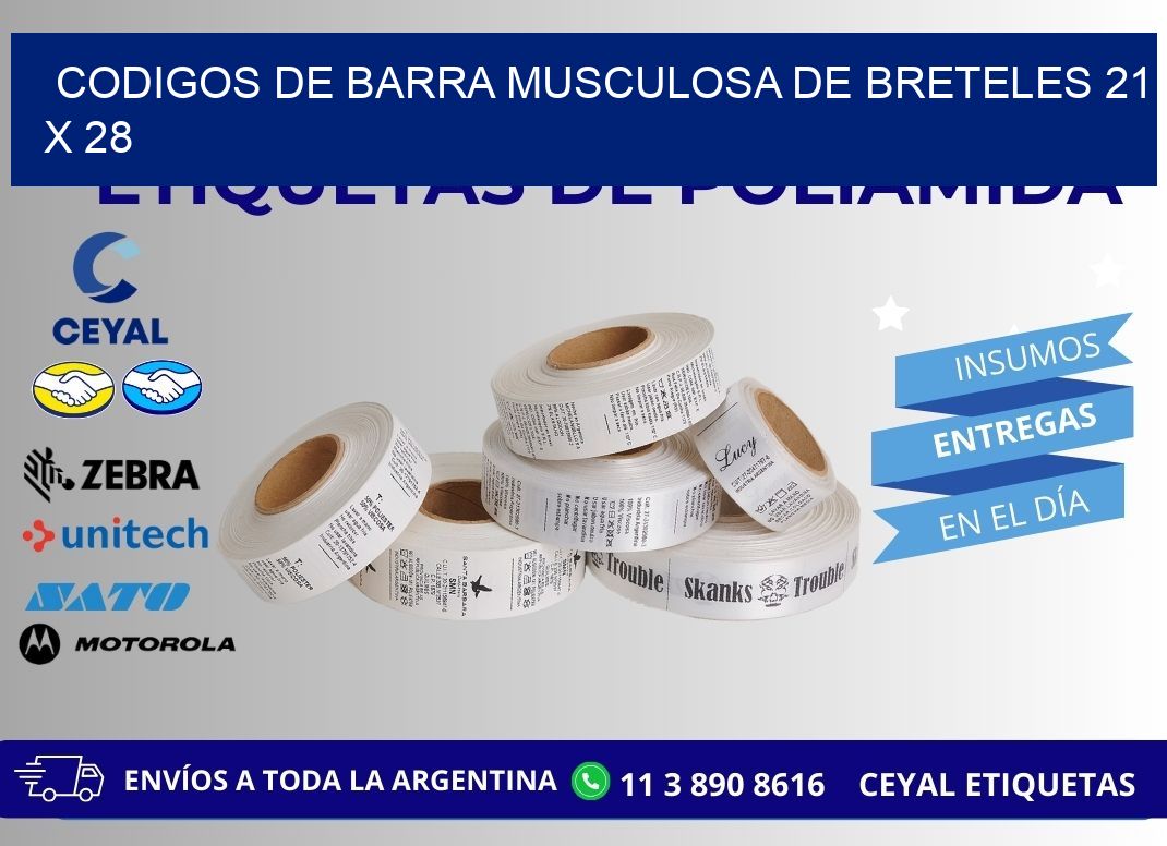 CODIGOS DE BARRA MUSCULOSA DE BRETELES 21 x 28