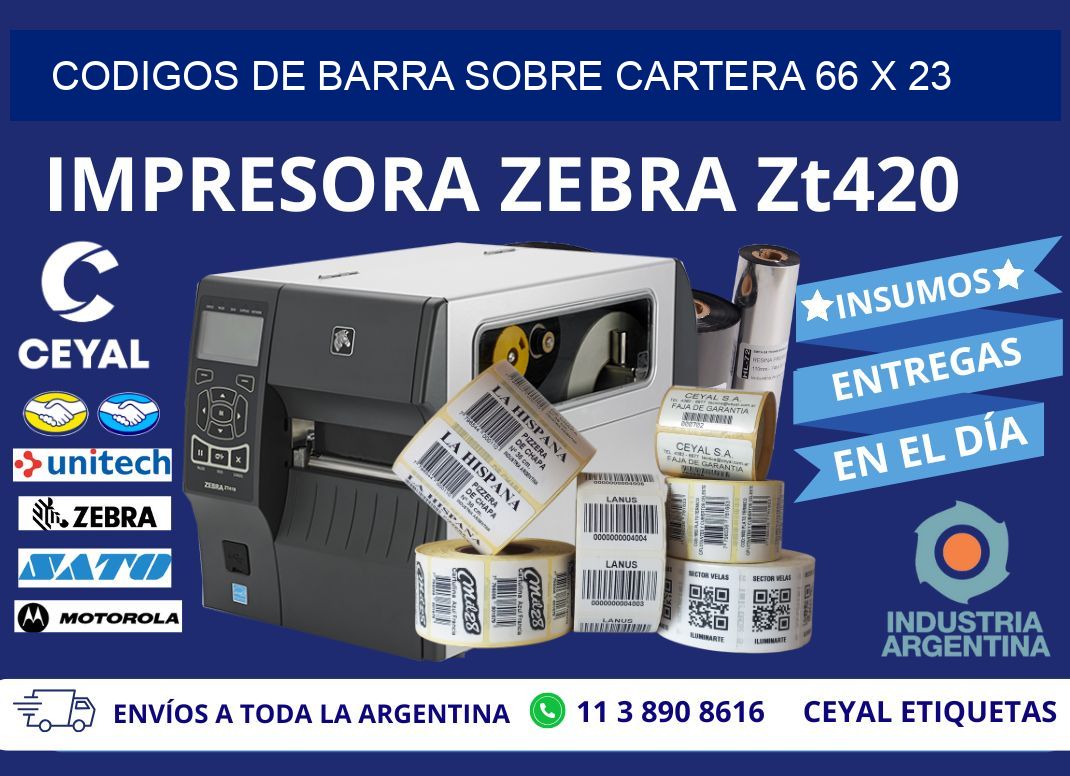 CODIGOS DE BARRA SOBRE CARTERA 66 x 23