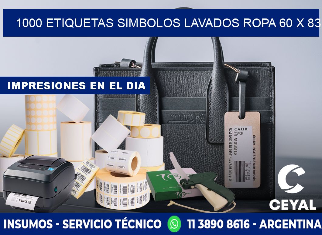 1000 ETIQUETAS SIMBOLOS LAVADOS ROPA 60 x 83