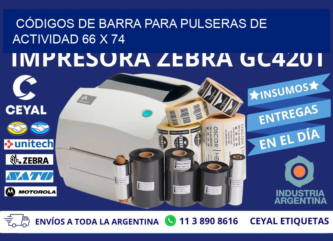 CÓDIGOS DE BARRA PARA PULSERAS DE ACTIVIDAD 66 x 74