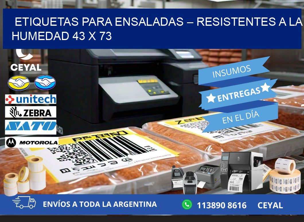 Etiquetas para ensaladas – Resistentes a la humedad 43 x 73