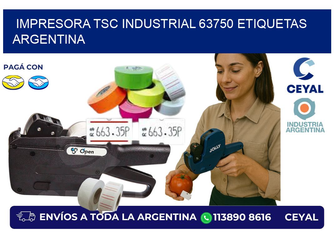 Impresora tsc industrial 63750 etiquetas argentina