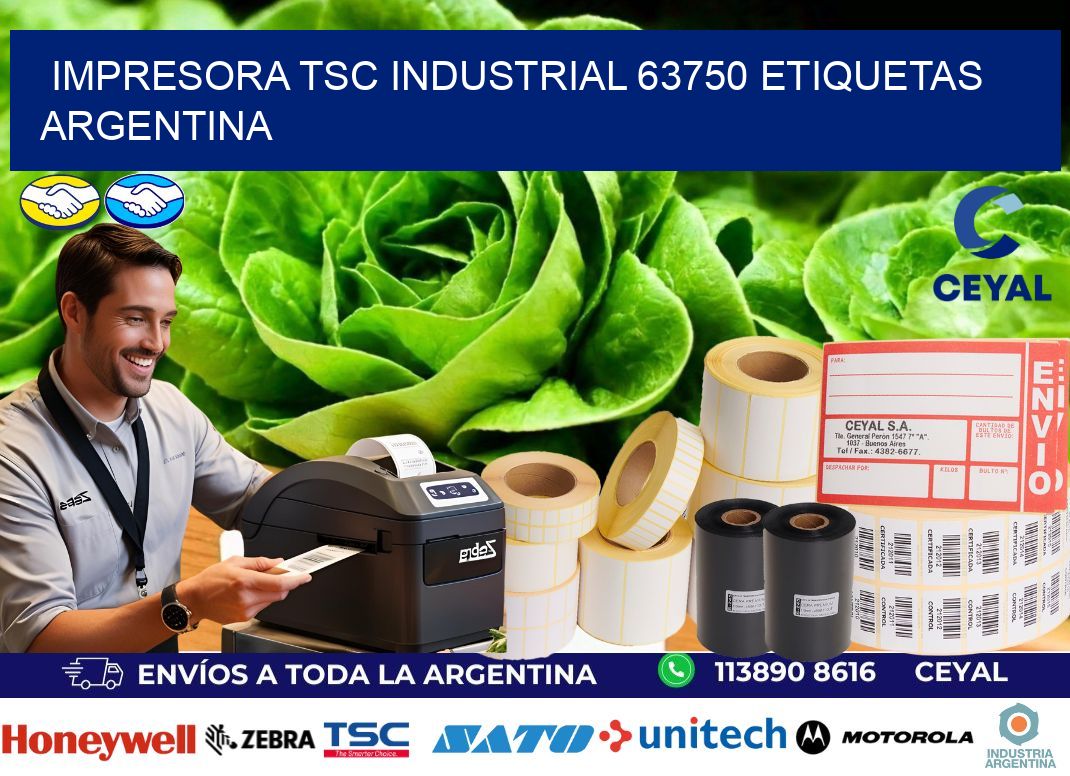 Impresora tsc industrial 63750 etiquetas argentina