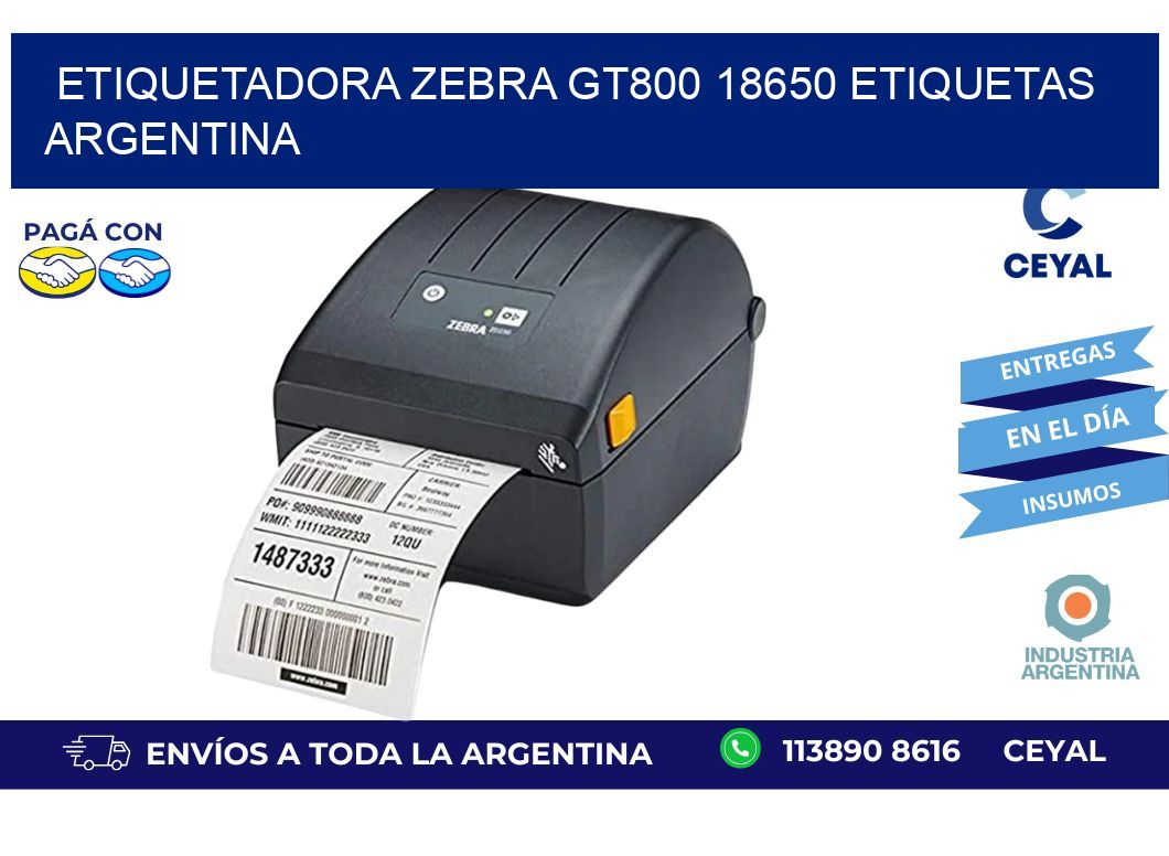 etiquetadora zebra gt800 18650 etiquetas argentina