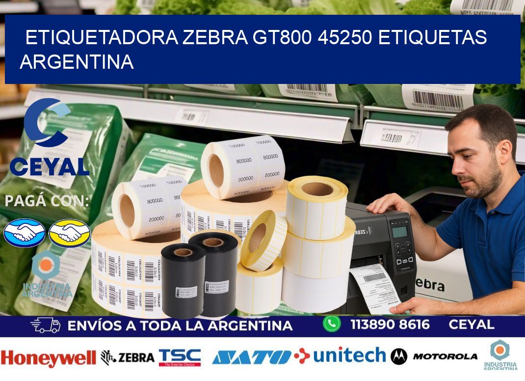 etiquetadora zebra gt800 45250 etiquetas argentina