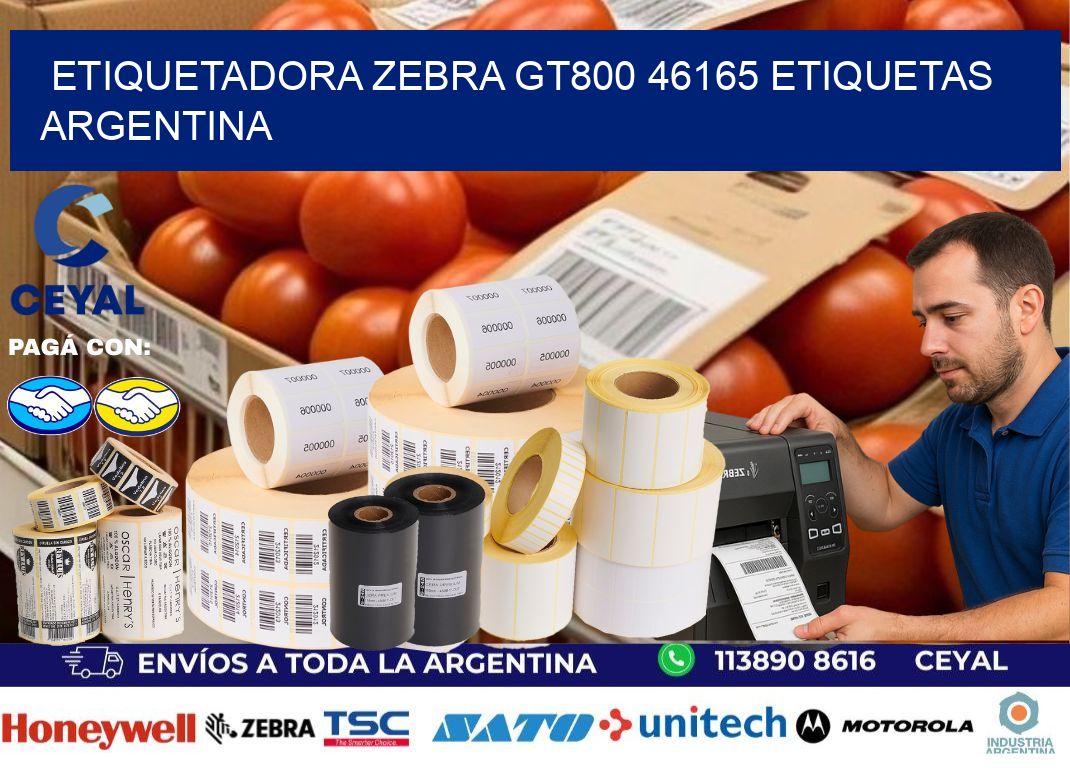 etiquetadora zebra gt800 46165 etiquetas argentina