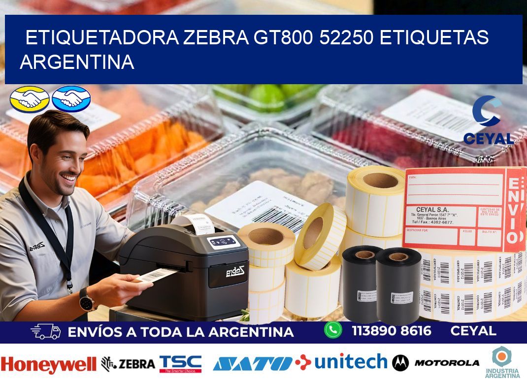 etiquetadora zebra gt800 52250 etiquetas argentina