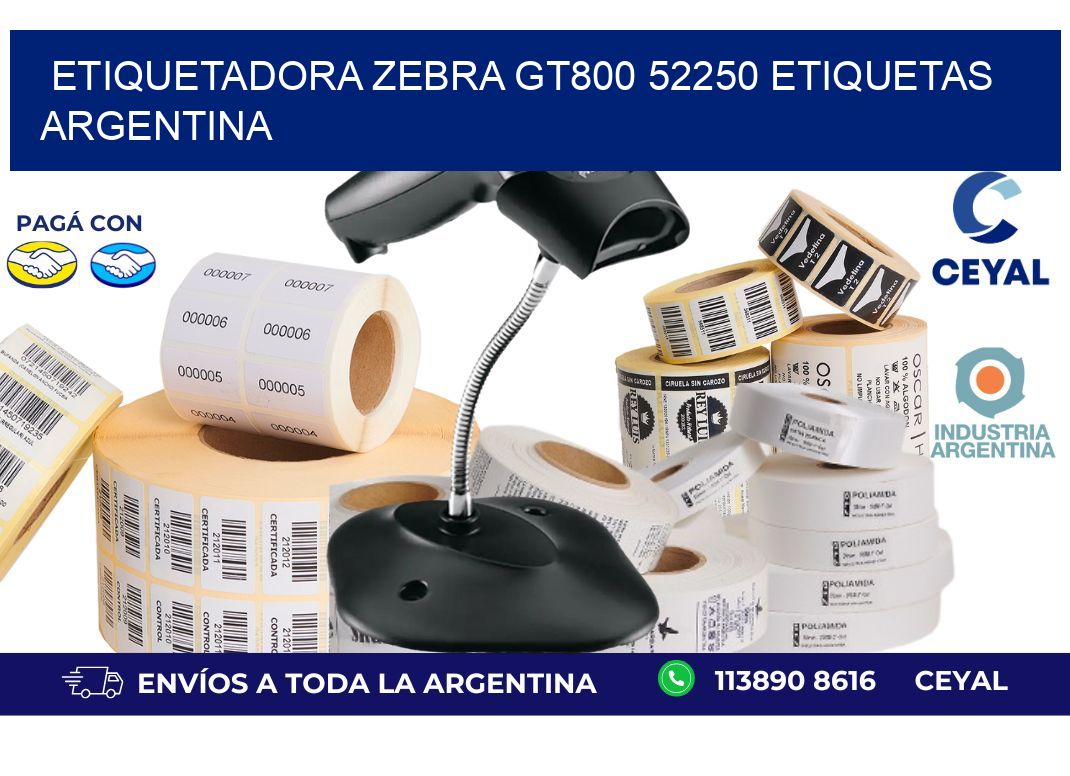 etiquetadora zebra gt800 52250 etiquetas argentina