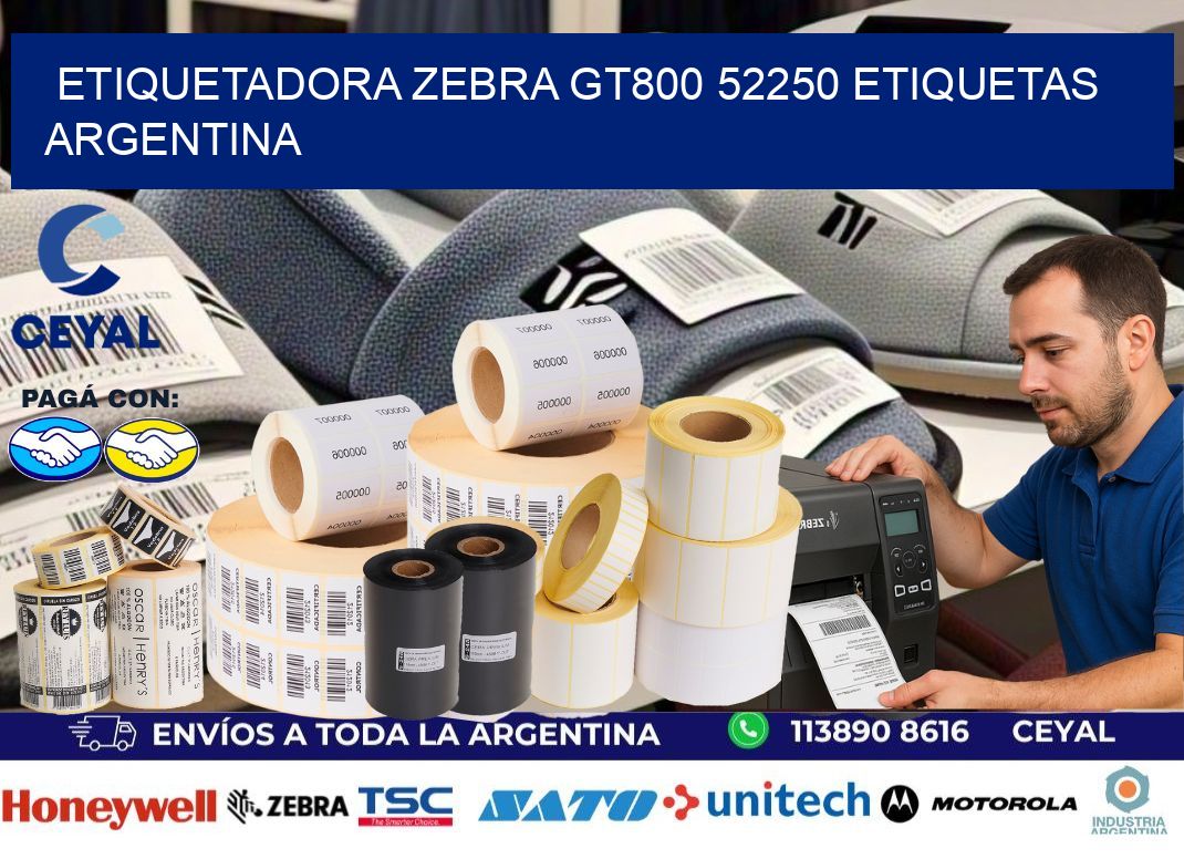 etiquetadora zebra gt800 52250 etiquetas argentina