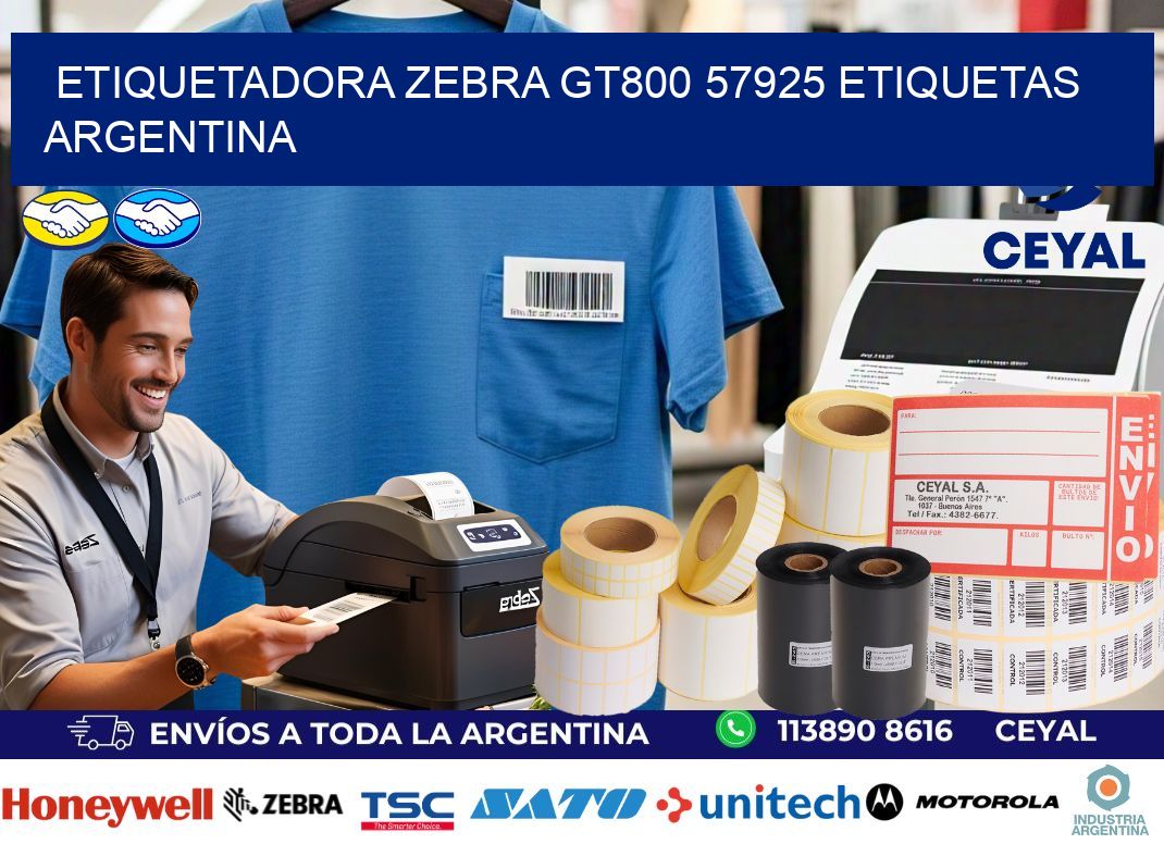 etiquetadora zebra gt800 57925 etiquetas argentina