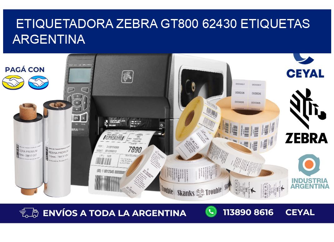 etiquetadora zebra gt800 62430 etiquetas argentina