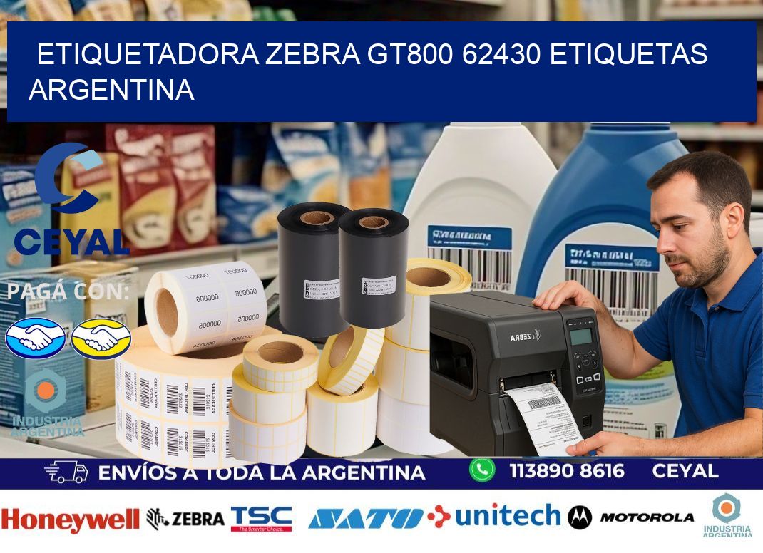 etiquetadora zebra gt800 62430 etiquetas argentina