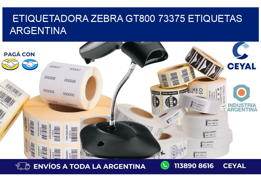 etiquetadora zebra gt800 73375 etiquetas argentina