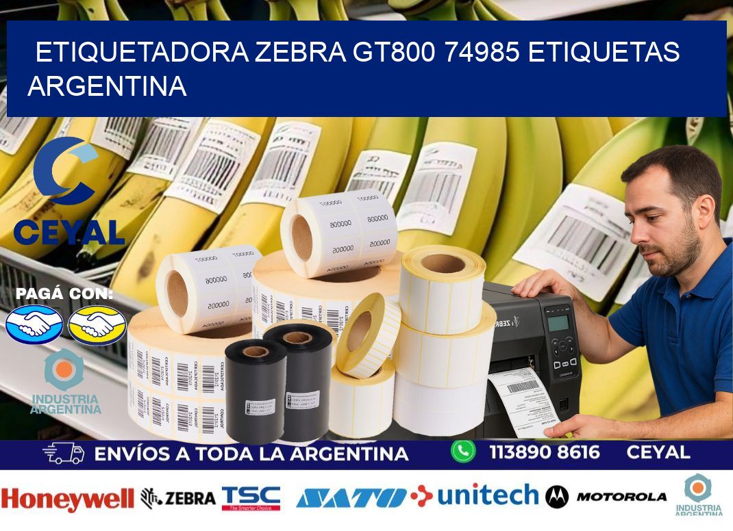 etiquetadora zebra gt800 74985 etiquetas argentina