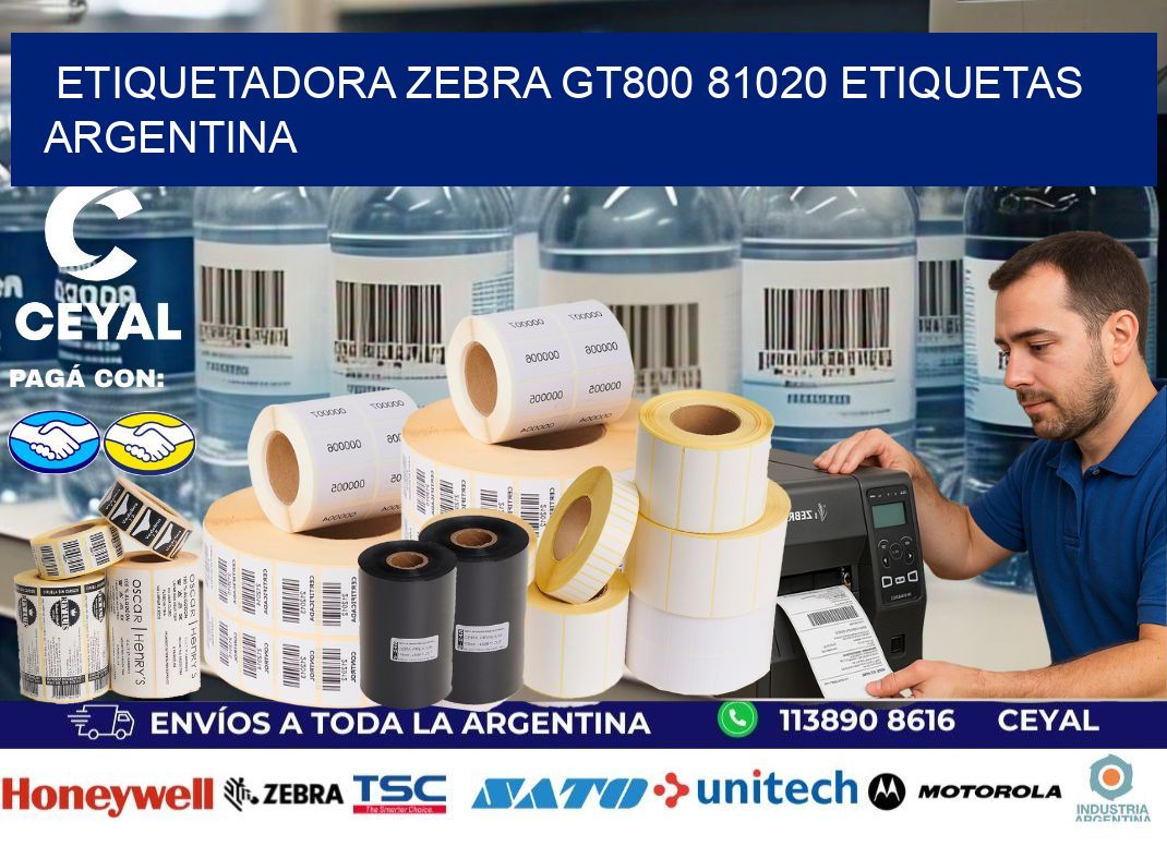 etiquetadora zebra gt800 81020 etiquetas argentina