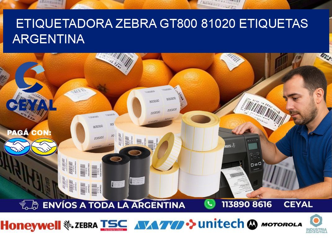 etiquetadora zebra gt800 81020 etiquetas argentina