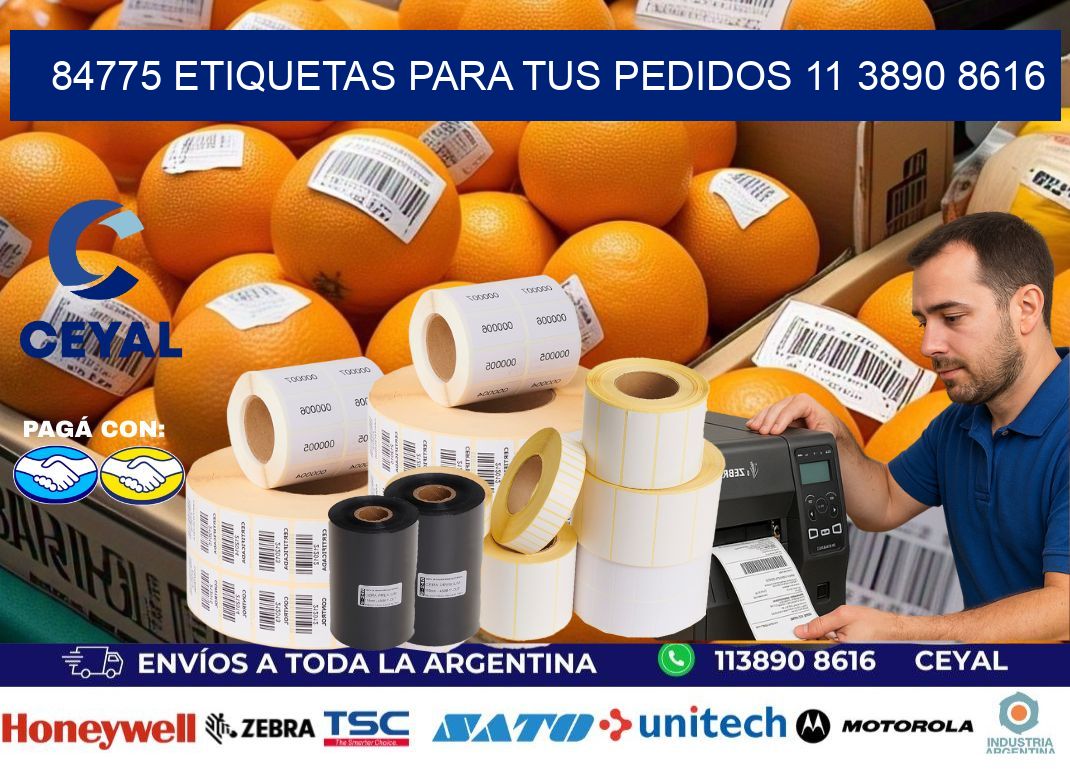 84775 ETIQUETAS PARA TUS PEDIDOS 11 3890 8616