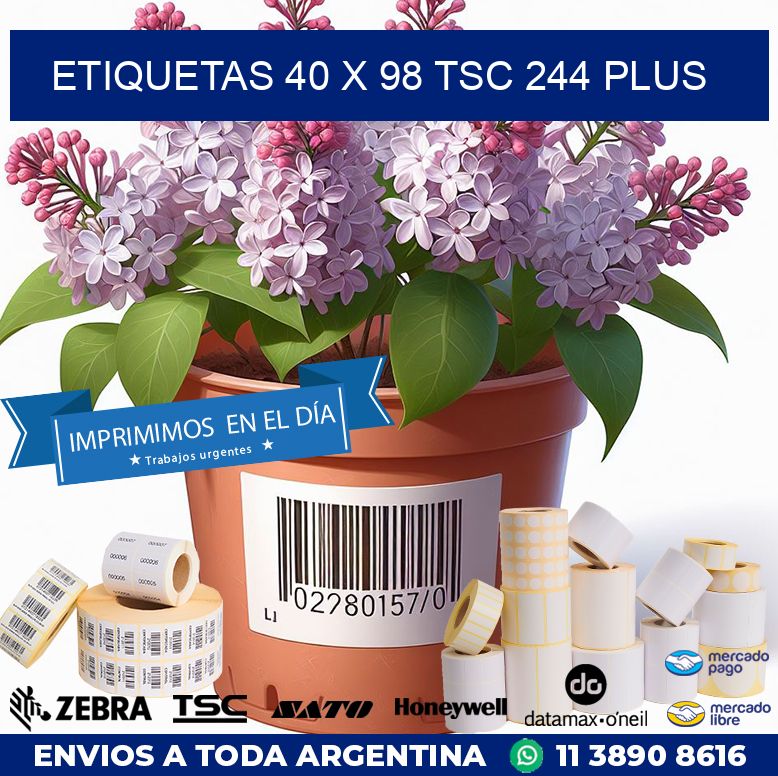 ETIQUETAS 40 x 98 TSC 244 PLUS