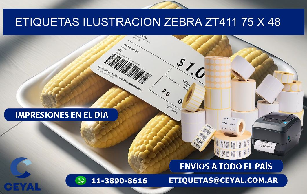 ETIQUETAS ILUSTRACION ZEBRA ZT411 75 x 48