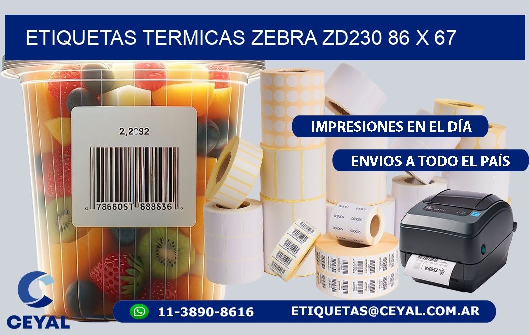 ETIQUETAS TERMICAS ZEBRA ZD230 86 x 67