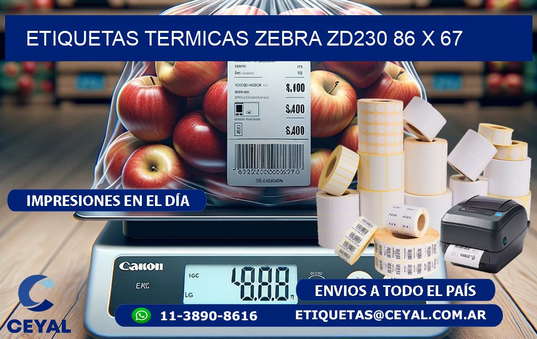 ETIQUETAS TERMICAS ZEBRA ZD230 86 x 67