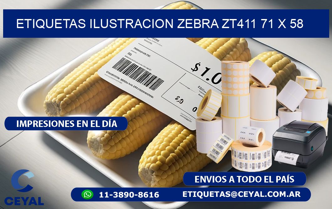 ETIQUETAS ILUSTRACION ZEBRA ZT411 71 x 58