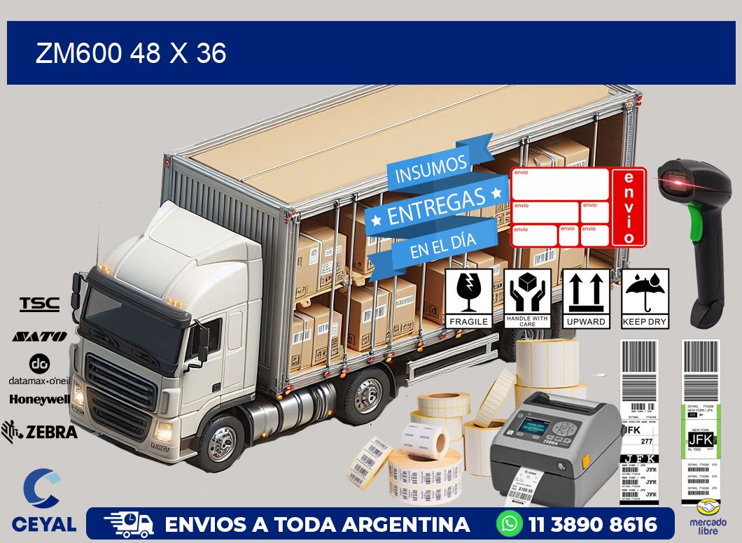 ZM600 48 x 36