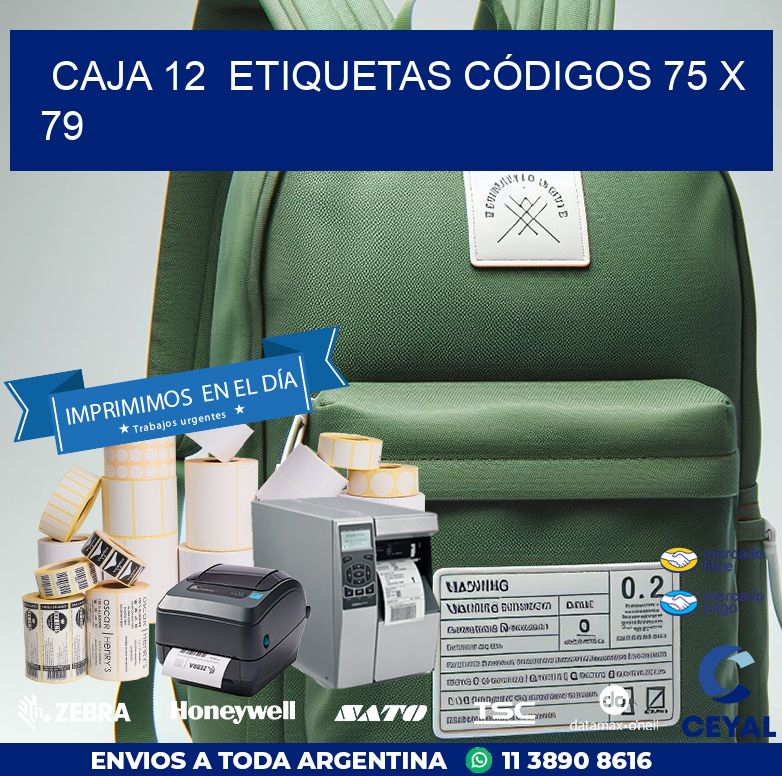CAJA 12  ETIQUETAS CÓDIGOS 75 x 79