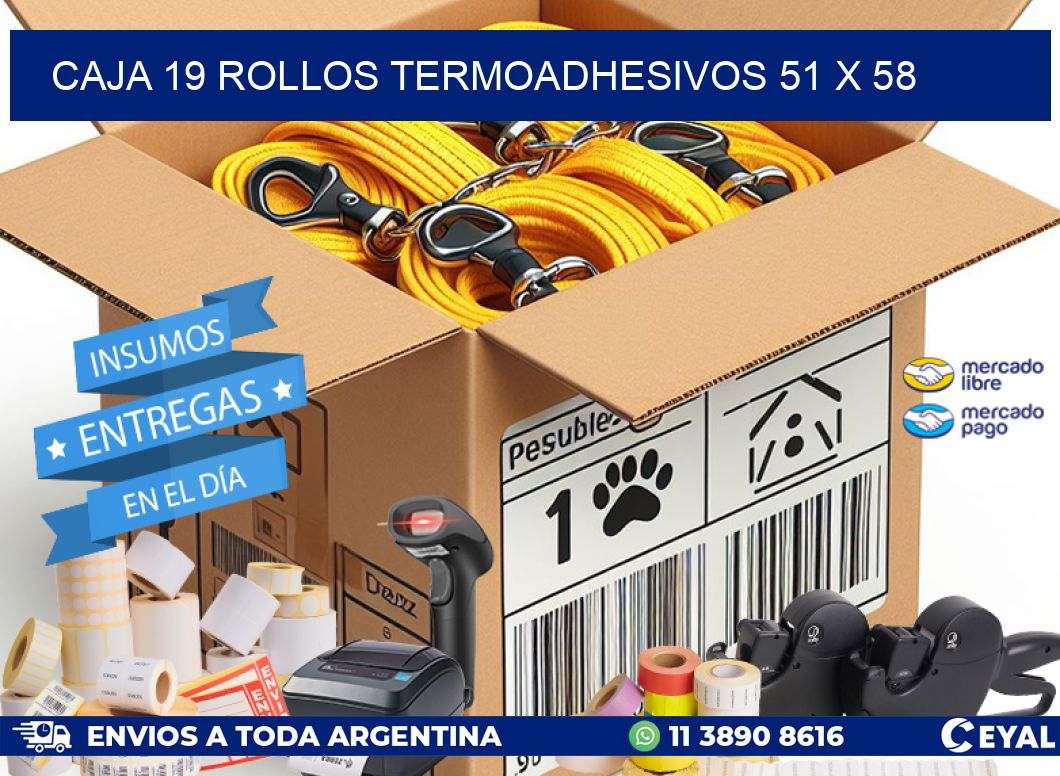CAJA 19 ROLLOS TERMOADHESIVOS 51 x 58