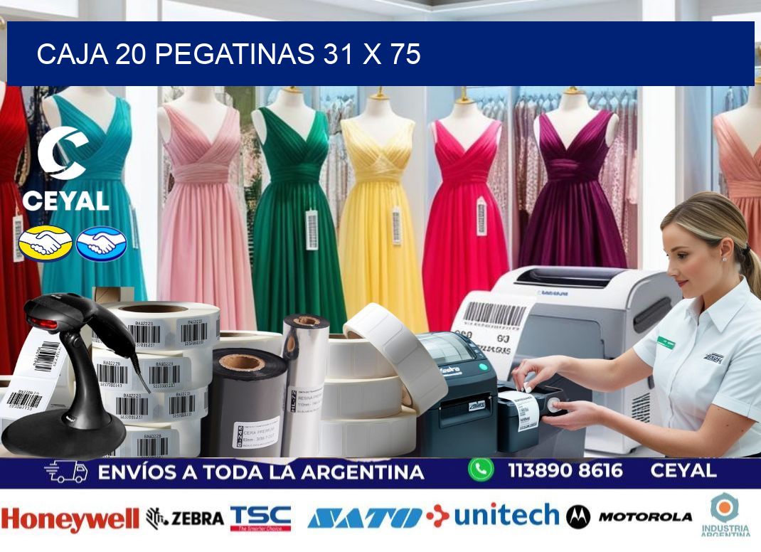 CAJA 20 PEGATINAS 31 x 75