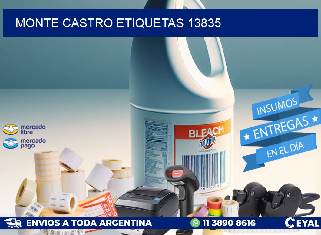 Monte Castro etiquetas 13835