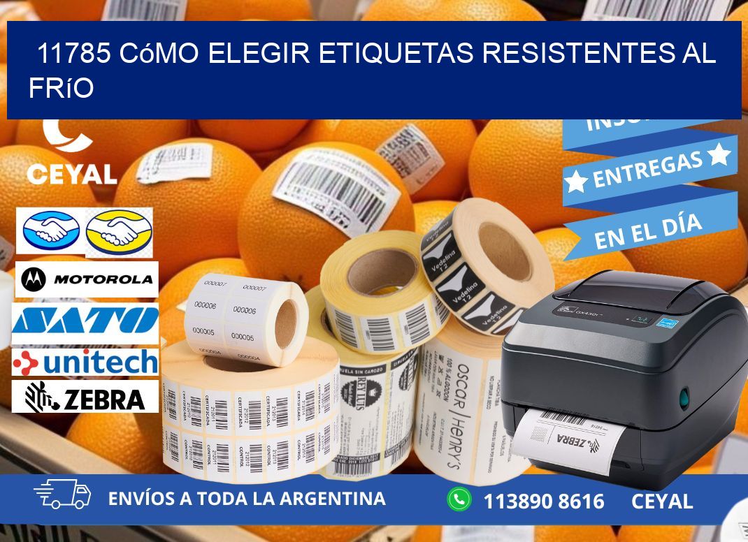 11785 cómo elegir etiquetas resistentes al frío