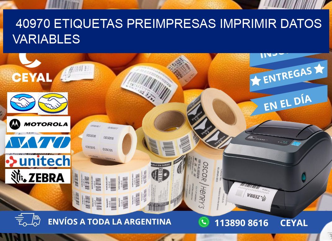 40970 Etiquetas preimpresas imprimir datos variables