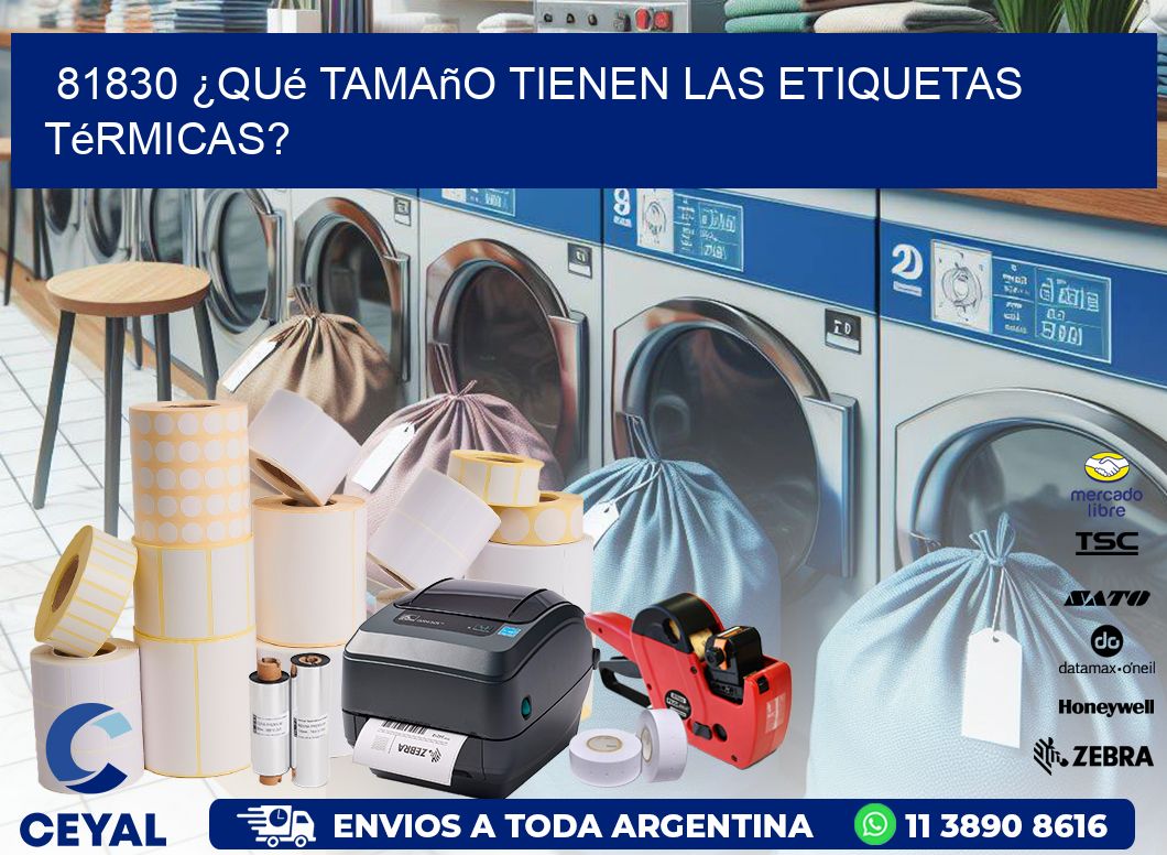 81830 ¿Qué tamaño tienen las etiquetas térmicas?