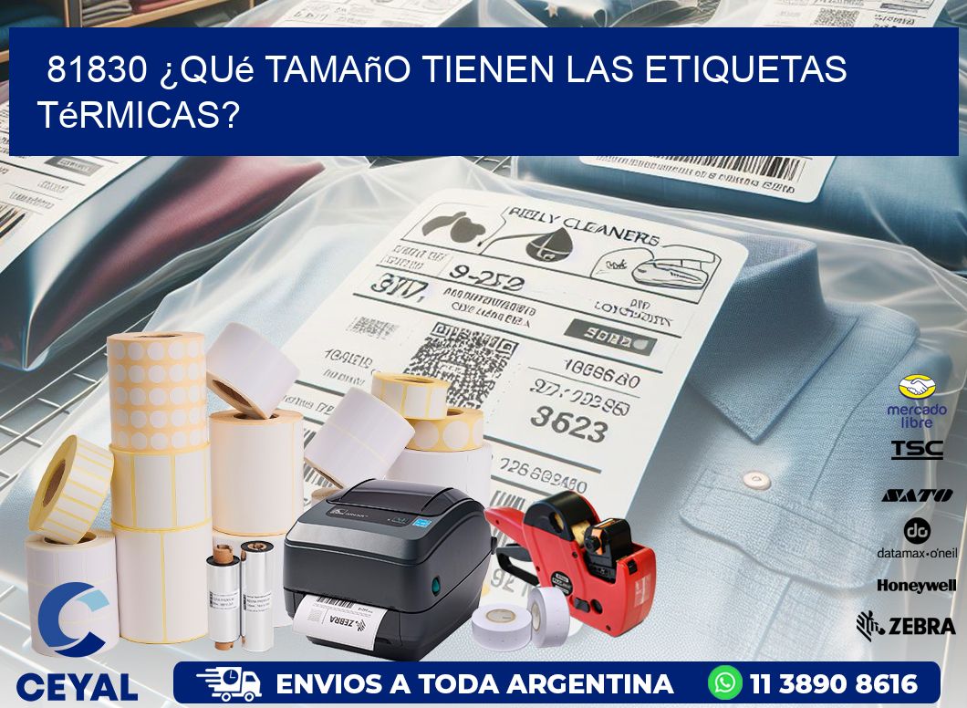 81830 ¿Qué tamaño tienen las etiquetas térmicas?