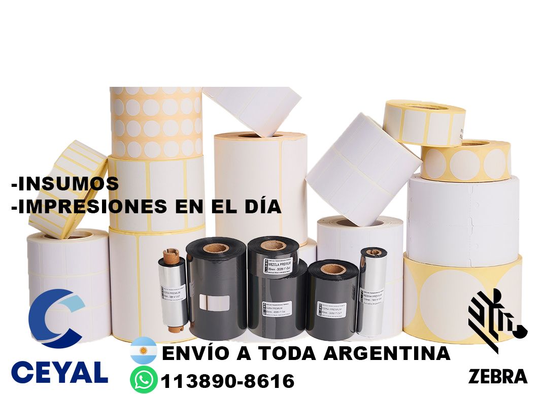 i41310 impresora  etiquetas Zebra ZD421 manual PDF