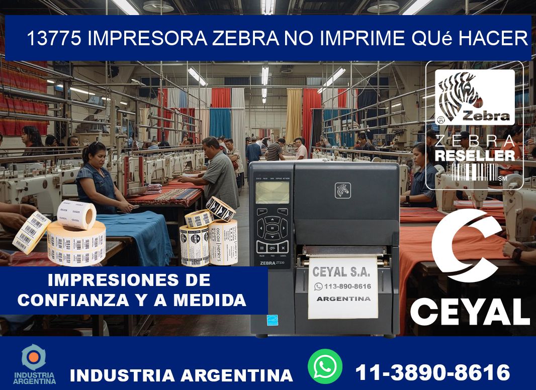 13775 impresora zebra no imprime qué hacer