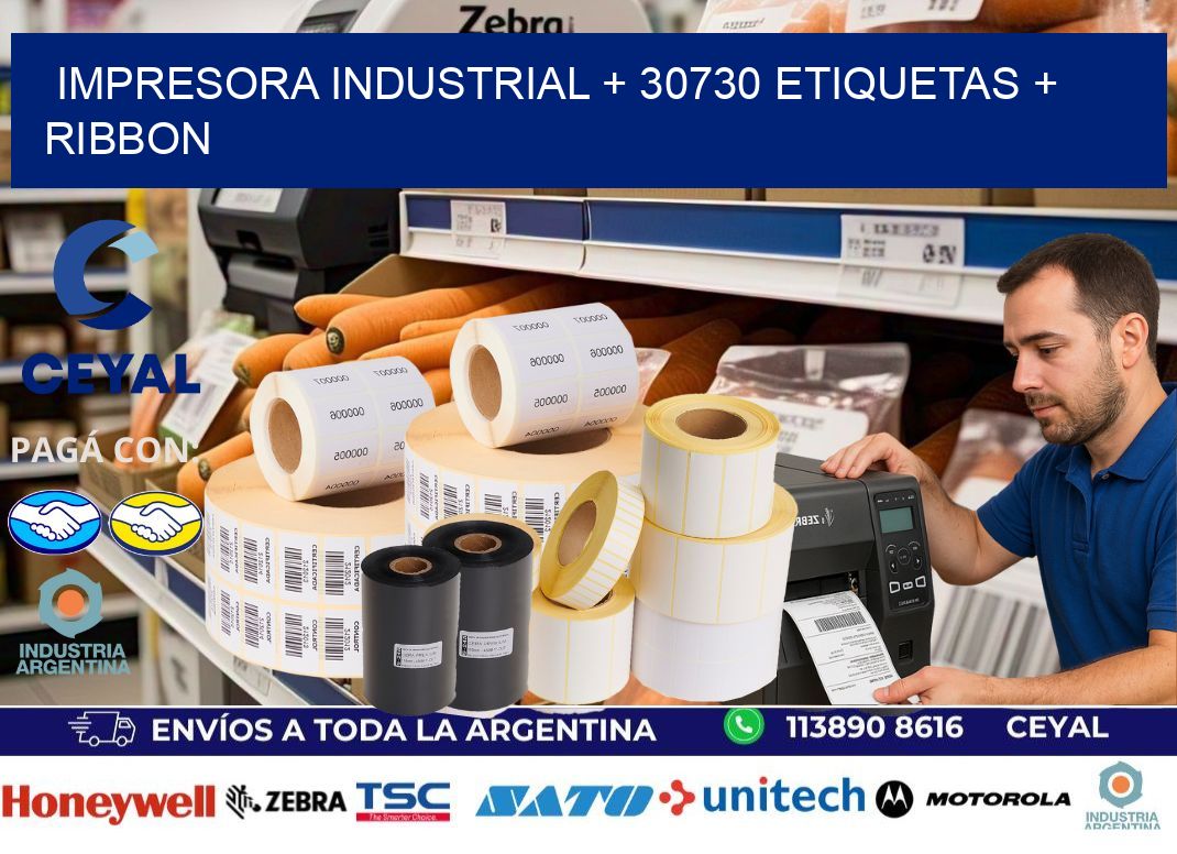 impresora industrial + 30730 etiquetas + ribbon