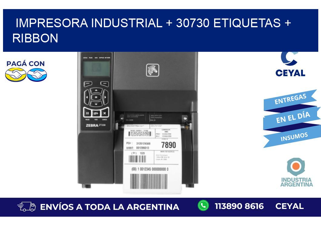 impresora industrial + 30730 etiquetas + ribbon