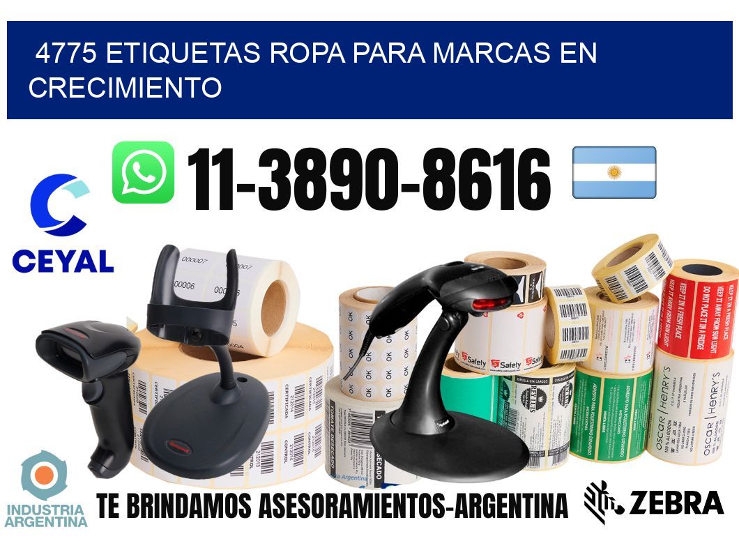 4775 Etiquetas ropa para marcas en crecimiento