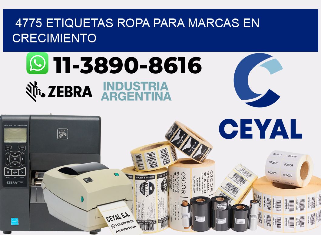 4775 Etiquetas ropa para marcas en crecimiento