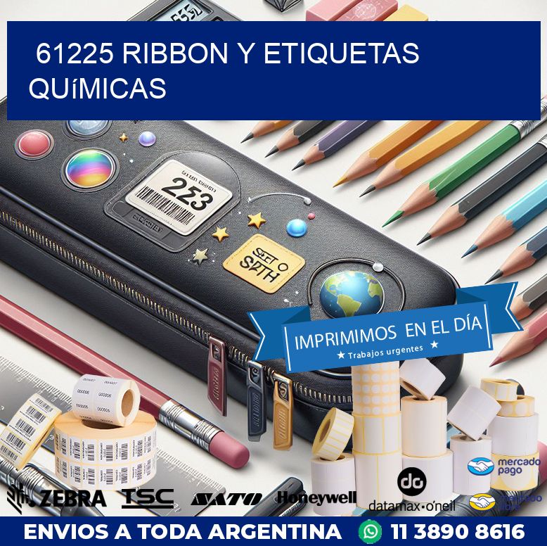 61225 ribbon y etiquetas químicas