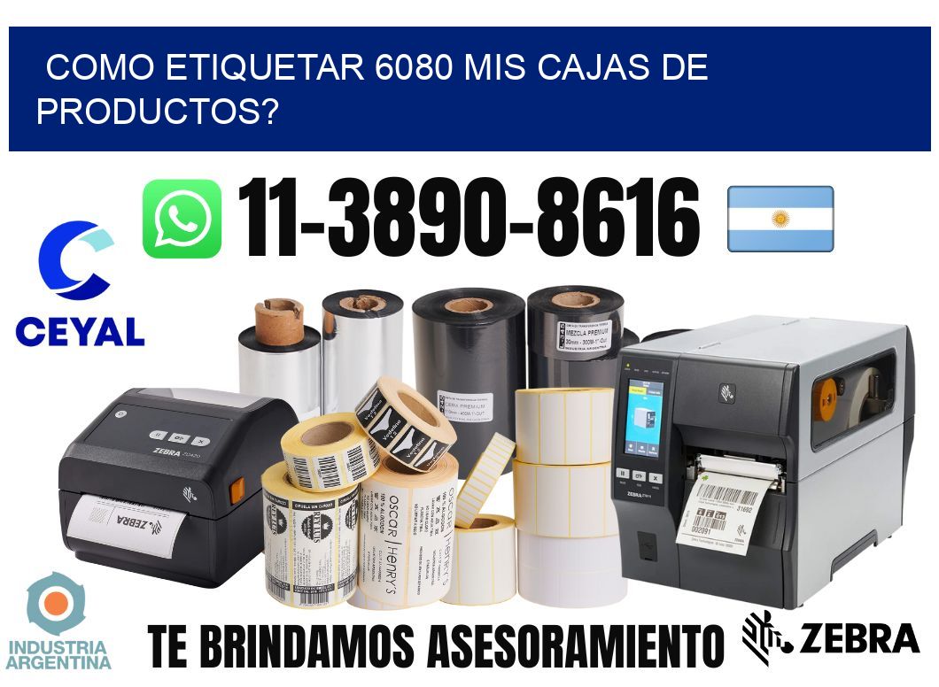 como etiquetar 6080 mis cajas de productos?
