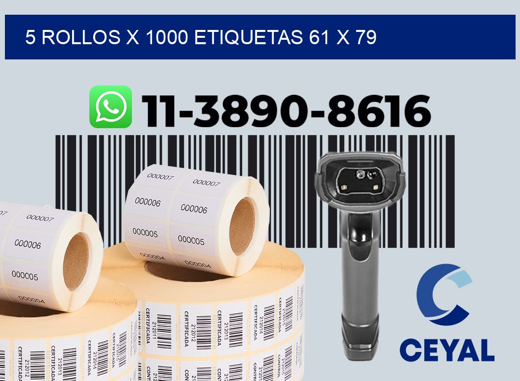 5 rollos x 1000 etiquetas 61 x 79