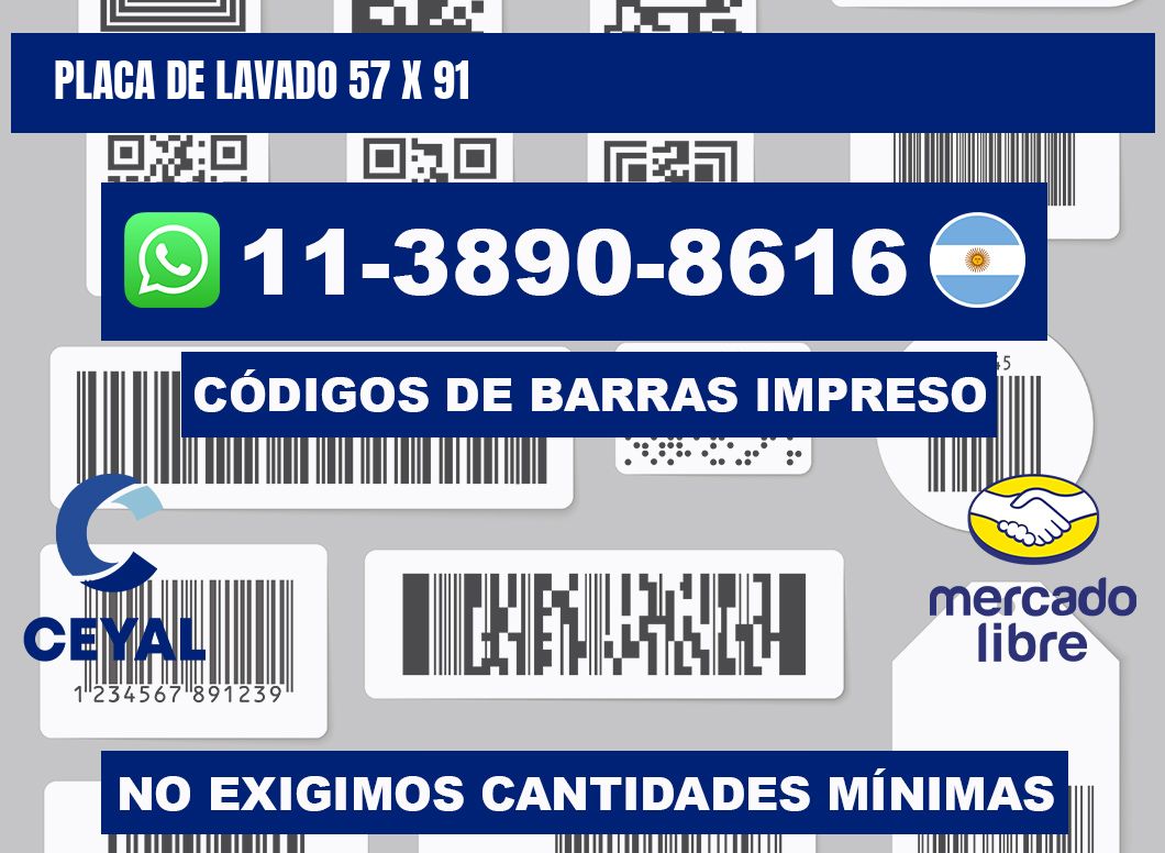 Placa de lavado 57 x 91